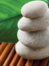 Integrative Health and Wellness Event